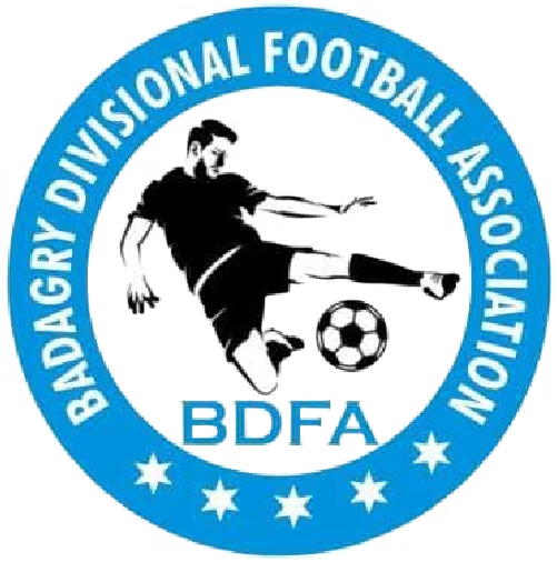 BADAGRY DIVISIONAL FOOTBALL ASSOCIATION